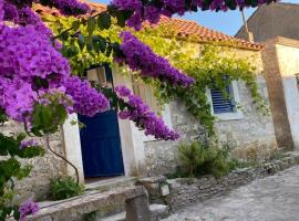 Villa rustica bougainvillea, hotel en Maslinica