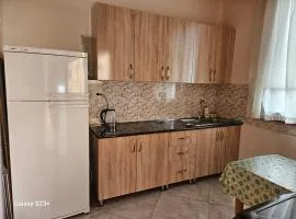 Guest house T/S in Lagodekhi / khizabavra