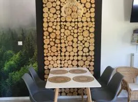 Apartament Pod Jelonkiem