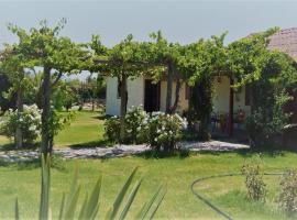 Conectar con la naturaleza te hará más feliz, orlofshús/-íbúð í Melipilla