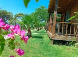Karpaz farm guest house