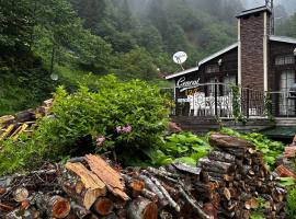 Ayder Gencal Villa, casa a Ayder Yaylasi