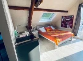 Studio au bord de la forêt de Perseigne