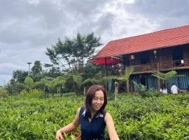 Tea Garden House