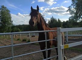 BB Polle - with the horse view, hotel in Mikkeli