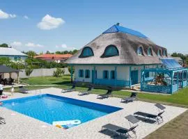 Casa Cretu Visina