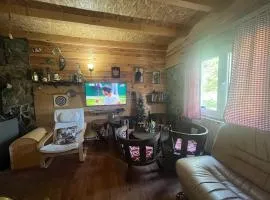 Vikendica - vacation home in woods Left river
