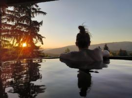 Alpina Deluxe Panoramic, ξενοδοχείο σε Moisei