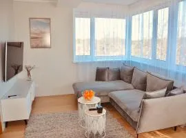 Panoramic Apt in the City center