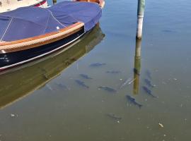 Idyllische Nacht auf holländischem Wanderboot, magánszállás Artlenburgban