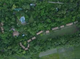 Temple Tiger Green Jungle Resort