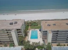Sand Dollar 404