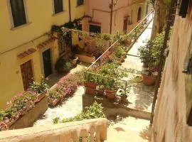 NIDO DI ELEONORA