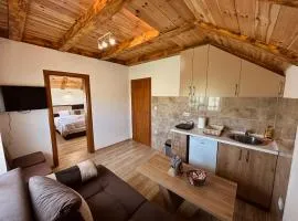 Apartments Milićević Žabljak