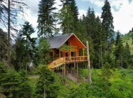 Cottage farvana