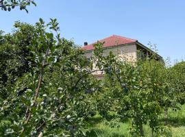 Villa Mance, habitación en casa particular en Berat