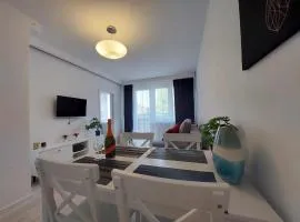 Albatros Apartment Stogi