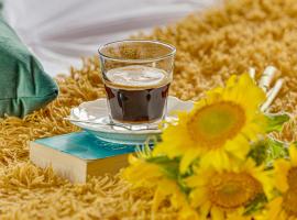 Dodi Studio Compact, ξενοδοχείο για ΑμεΑ σε Arad