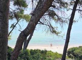 Sunny Seaside Villa-90 m from beach, villa in Kriopigi