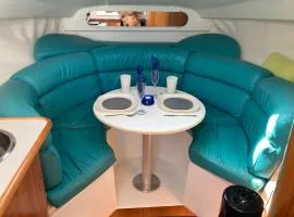 Bateau Nirvana 7,6 m