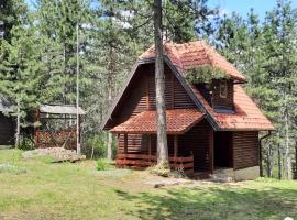 Vila Tarska oblica, cabaña o casa de campo en Užice
