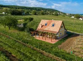 Tagyon Birtok Tulipános Apartman