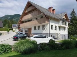 Mountain view in Bohinj