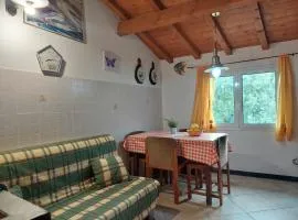 Home Dolcedo by Holiday World