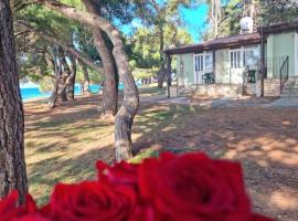 Family Bungalow Pineta, resort village in Novigrad Istria