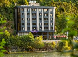 The Old Apprentice, hotel in Ardeşen