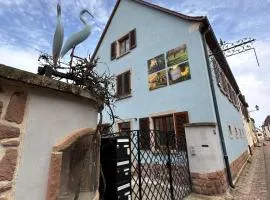 Charmant et chaleureux gîte dans le vignoble