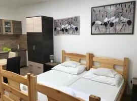 Tó-Party Apartman