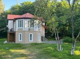 Woodstock's Guesthouse Shekvetili