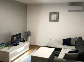 Apartman/Stan na dan Teslić