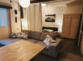 Wanha Koulu Tahko 2h Huone, Sauna, Minikeittiö, Rinteet Spa Ravintola 6km, Sali, Wifi, Lemmikit OK, Edukas