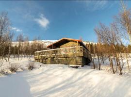 Traditional Cottage with Jacuzzi and Lake View Laugarvatn, Árnessýsla, Islandia – hotel w mieście Laugarvatn