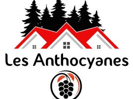 les anthocyanes CHAMBRE FORET, hotel with parking in Champagny
