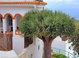 Acoran Family Ocean View Guest House With Daily Yoga Practice Included North Gran Canaria PRIVATE ROOM PET FRIENDLY