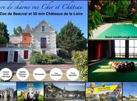 Demeure vue sur Cher/Château, 5 min Zoo de Beauval, Hotel in Seigy
