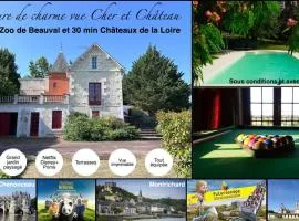 Demeure vue sur Cher/Château, 5 min Zoo de Beauval