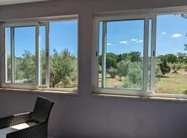 Krk Island Dream: Harbor Walk and Panoramic Views