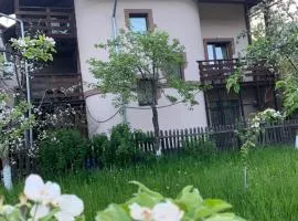 Sadyba Lesivykh
