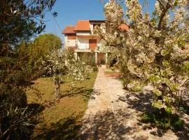 Rooms Goriš