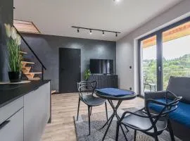 Apartament w Dolinie Sanu