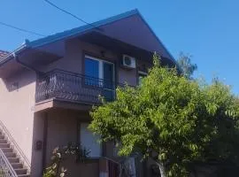 Apartment Andjela