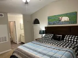 Beautiful 1-bedroom Townhome with nice amenities