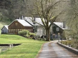 Magnificent Manor in Vresse-Sur-Semois with Sauna