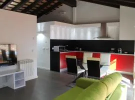 Apartment in the city of Olot Penthouse