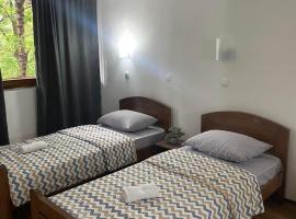 Hotel Lane: Kraljevo şehrinde bir otel