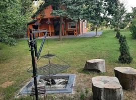 3 kroki od sosny Domek w lasku Sitaniec – obiekty na wynajem sezonowy w mieście Udrycze